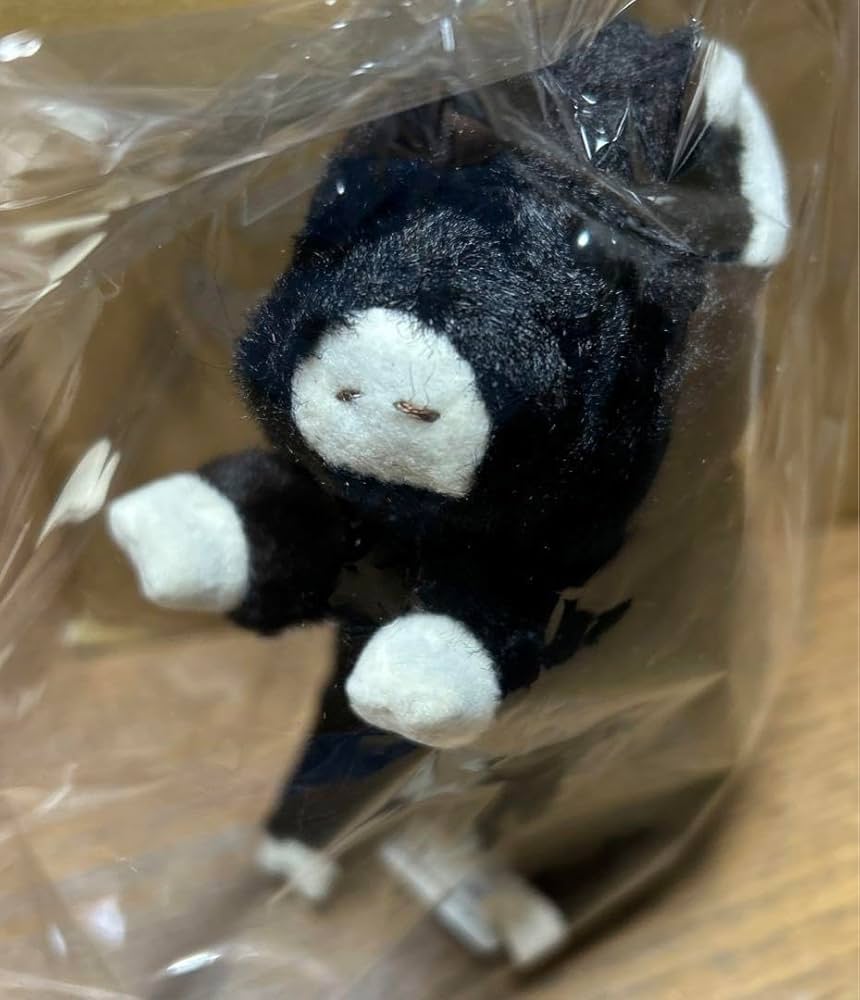 Amazon.co.jp: como rayコモアンドレイぬいぐるみ プレミエル